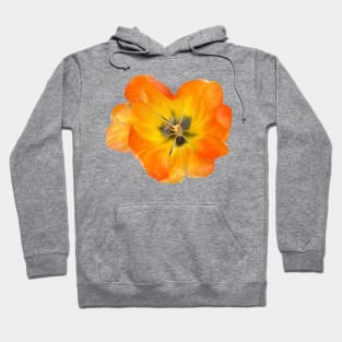 Colorful Tulip Hoodie